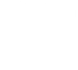 DBJ-CEO